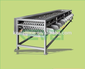 roller fruit and vegetable olive picking / sorting machine